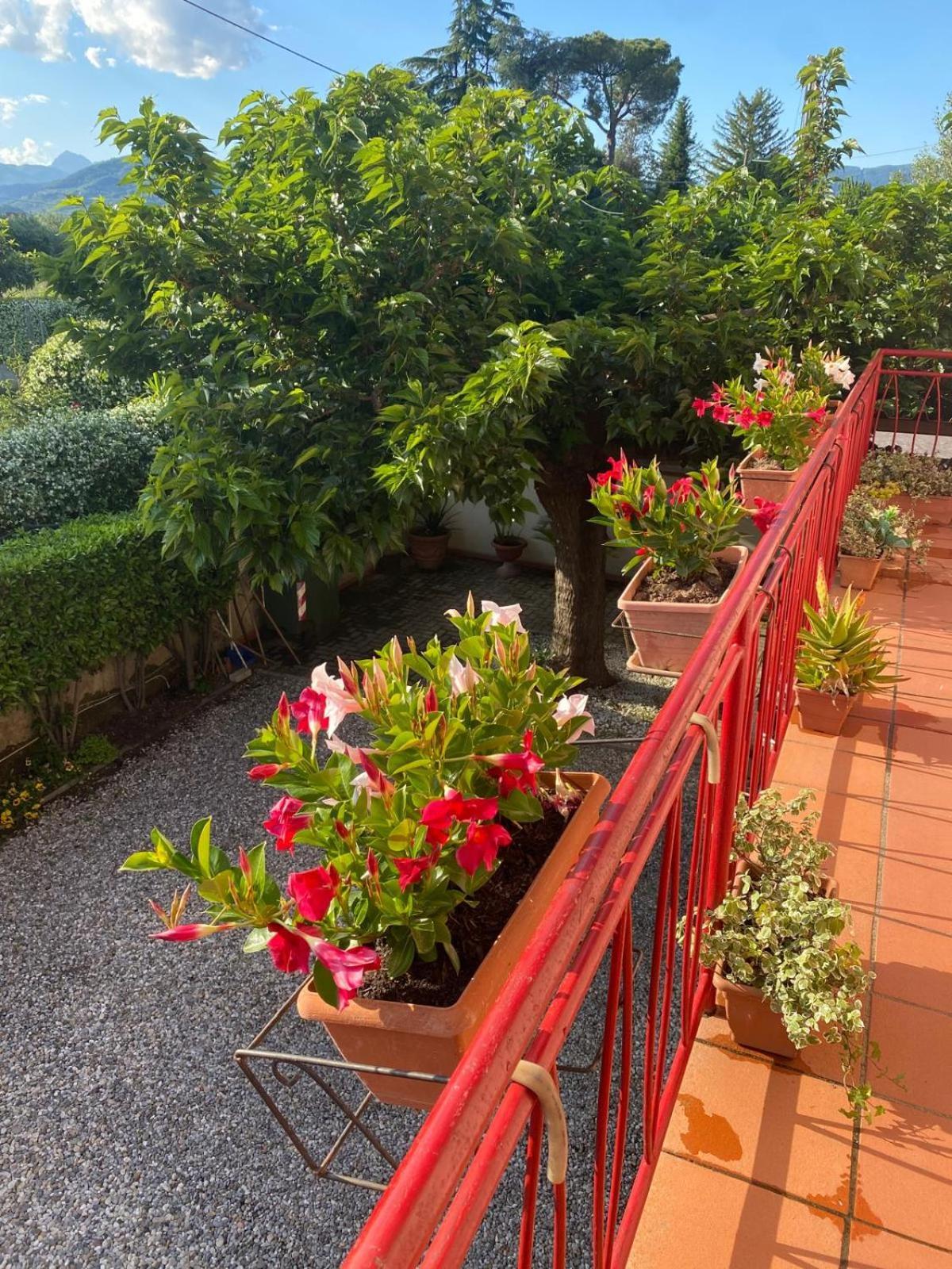 Casa Mary Villa Lucca Exterior foto